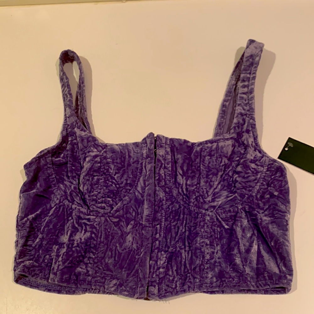 wild fable Purple Velvet Cropped Bustier Tank